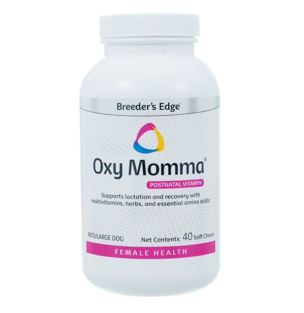 Oral cal for dogs new arrivals